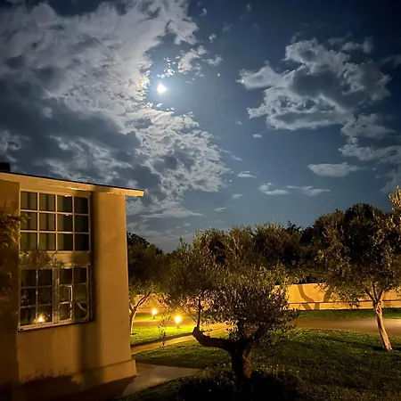 Ta Spitakia העיירה קוס